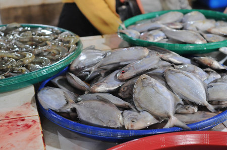 Fresh fish at the fish market in the city of Seoul in South Korea.の写真素材