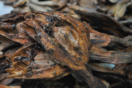 dried fish in the market, closeup of photo concept backgroundの写真素材