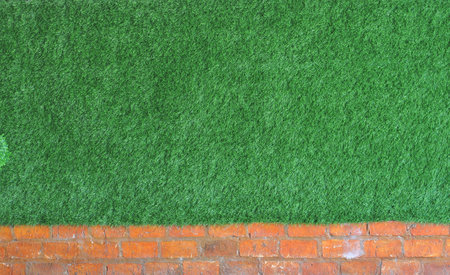 Green grass on brick wall texture background. Top view of green grass on brick wall texture background.の写真素材