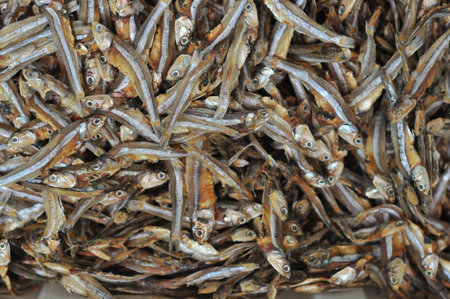 dried small fish in the market, closeup of a photoの写真素材