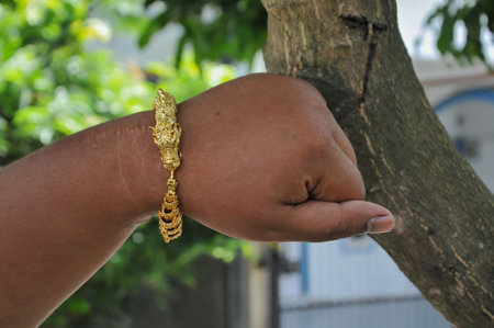 Bengal woman's hand holding a gold jewelry on a treeの写真素材