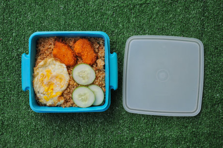 Lunch box with rice and fried egg on green grass background.の写真素材