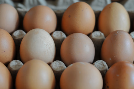 Close up of fresh eggs in carton box. Selective focus.の写真素材