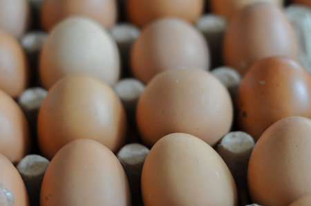 eggs in a paper box, close up, shallow depth of fieldの写真素材