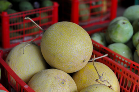 Cantaloupe melons in a basket at the marketの写真素材