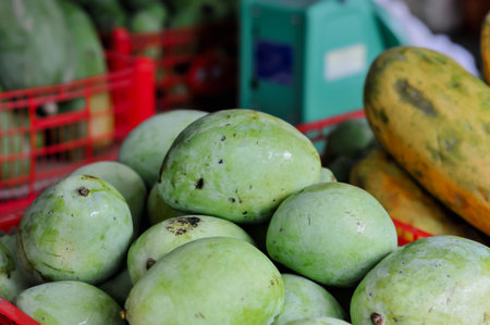 Mango fruit in the market, Thailand. (Selective focus)の写真素材