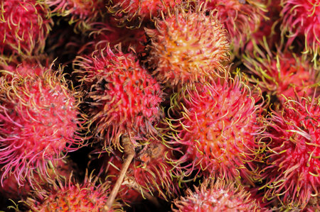 Rambutan fruit in the market, Thailand. Macro image.の写真素材