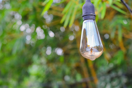 Close up of a light bulb in the garden with blurred background.