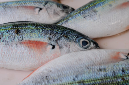 Fresh fish on the counter in the supermarket. Close-up.の写真素材