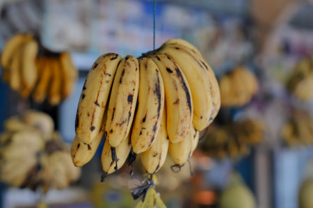 Banana hanging on a rope in the street market in Istanbul, Turkeyの写真素材