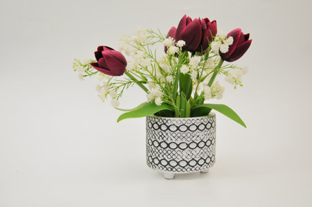 Bouquet of tulips in a vase on a white backgroundの写真素材
