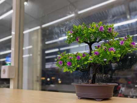 Bonsai tree on the table in the modern office, stock photoの写真素材