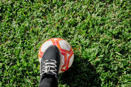 Soccer ball on green grass background. Soccer ball on the grassの写真素材