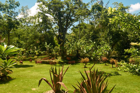 gardenの写真素材