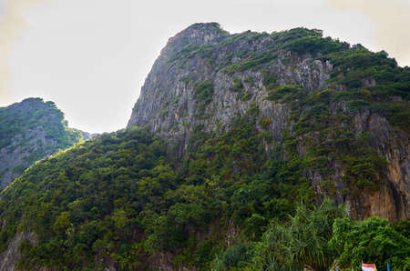 Mountain landscape with vegetationの写真素材