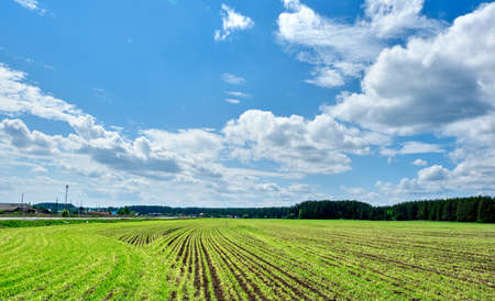 fieldの写真素材