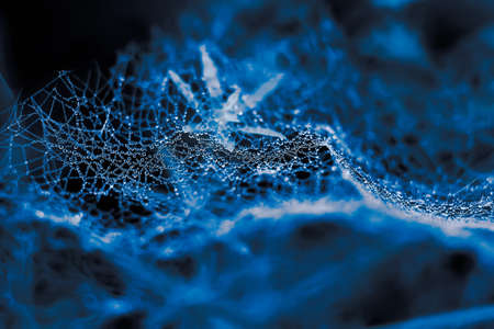 Spiderweb and dewの写真素材