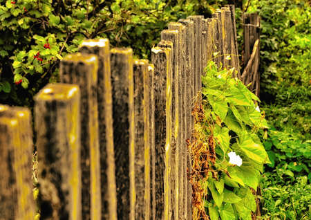 guardrailの写真素材