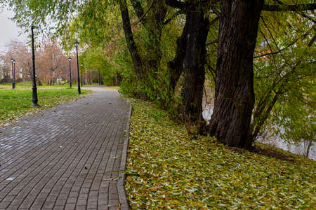 footpathの写真素材