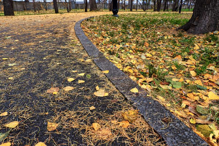 alley in the parkの写真素材