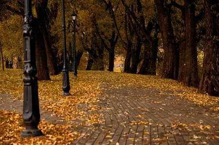 Autumn and park