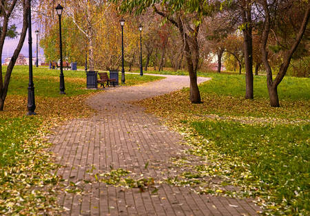 Autumn leaves on the pathの写真素材