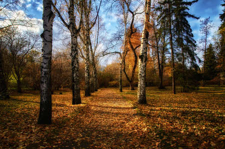 autumn eveningの写真素材