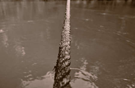 Rope across the riverの写真素材