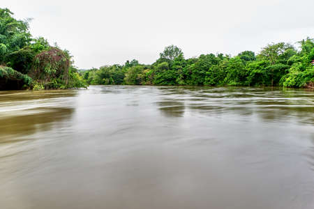 river in the parkの写真素材