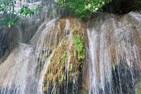 waterfall in the forestの写真素材