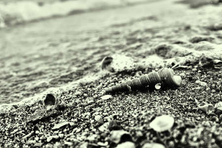 Black and white beachの写真素材