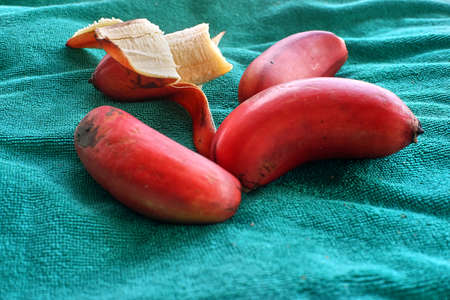 Red bananasの写真素材
