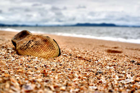 Garbage on the beachの写真素材