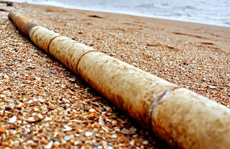 bamboo stick on the sandの写真素材