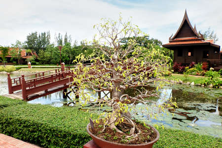 garden with flowersの写真素材