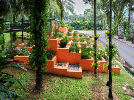 Garden stepsの写真素材