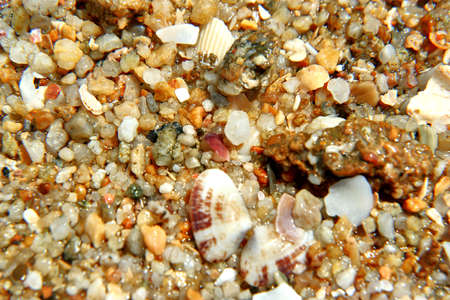 Pebbles on the beachの写真素材