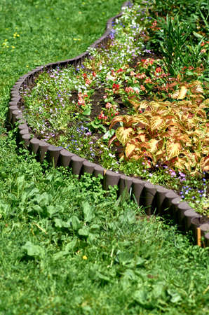 flowers in the gardenの写真素材
