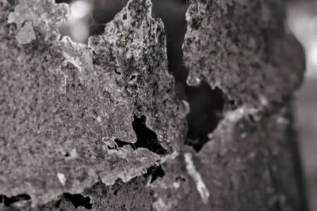 Rusty metalの写真素材