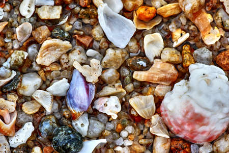 Shells pebbles and waterの写真素材