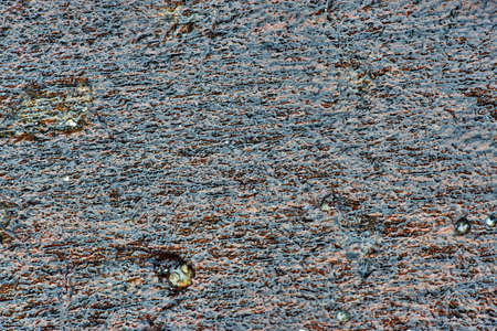Wet textureの写真素材