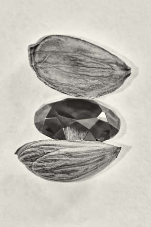 The gem and walnut kernelの写真素材