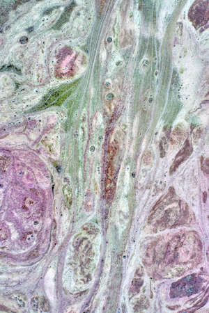 Foam textureの写真素材