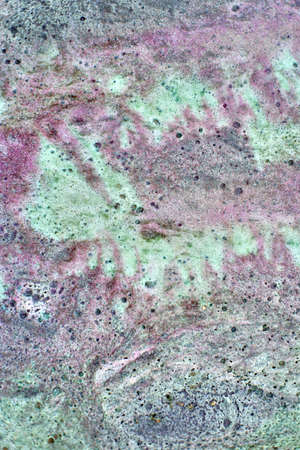 The texture is differentの写真素材