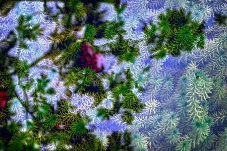 Plants in waterの写真素材