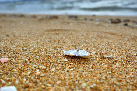 Slave near the seaの写真素材