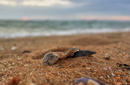 Evening on the beach