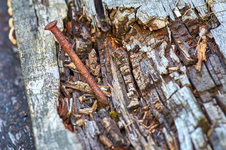 Rusty nail in the boardの写真素材