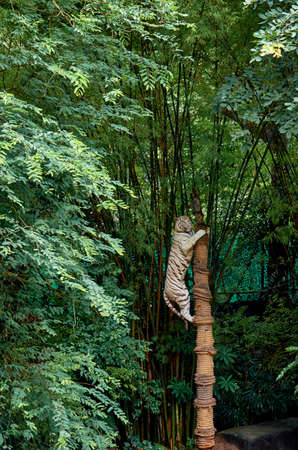 White tiger on a treeの写真素材