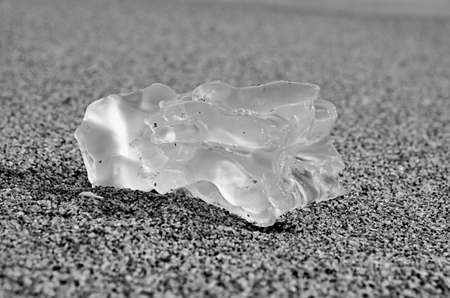 Part of a jellyfish on the sandの写真素材